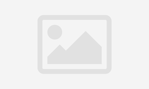 NEET UG / Biology / Botany